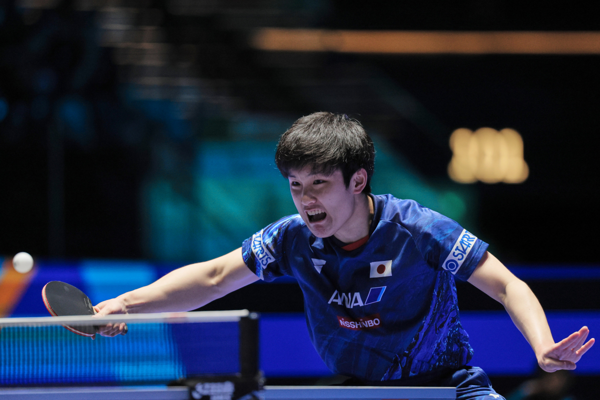 勒沃库森本赛季不败秘诀 勒沃库森本赛季不败秘诀